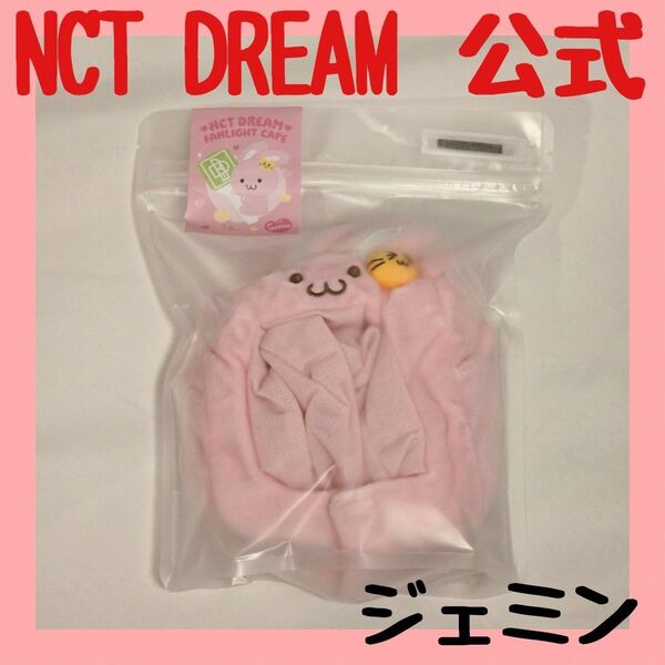 JAEMIN FANLIGHT CAPE ジェミン ペンライトカバー