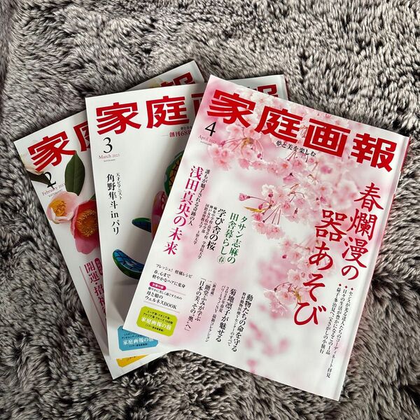 家庭画報 2025年2月号、3月号、4月号 3冊セット