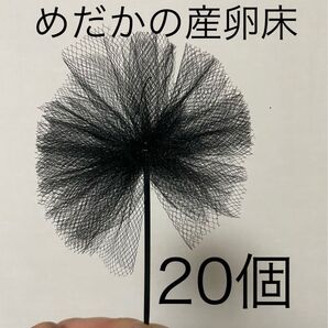 【めだか産卵床20個(チュール生地黒)の商品】
