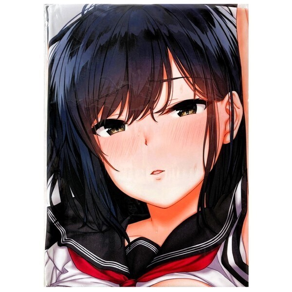 電波暗室 弱電波 渡辺彩紗 くぱぁ 抱き枕カバー ノーマルver. 未開封 / フレス製 アクアプレミア 正規品 JackDempa