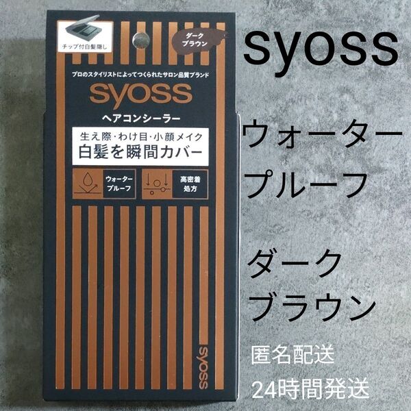syoss ヘアコンシーラー ダークブラウン