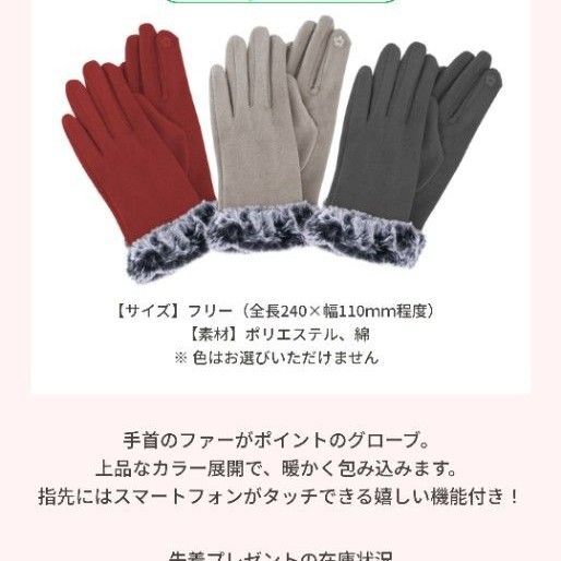 資生堂オンラインストア ファー付グローブ