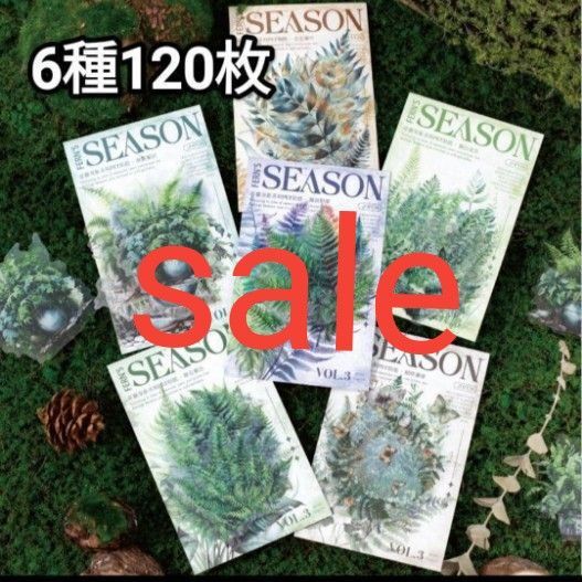 新!U36 青蕨 植物 葉 ステッカー シール コラージュ素材