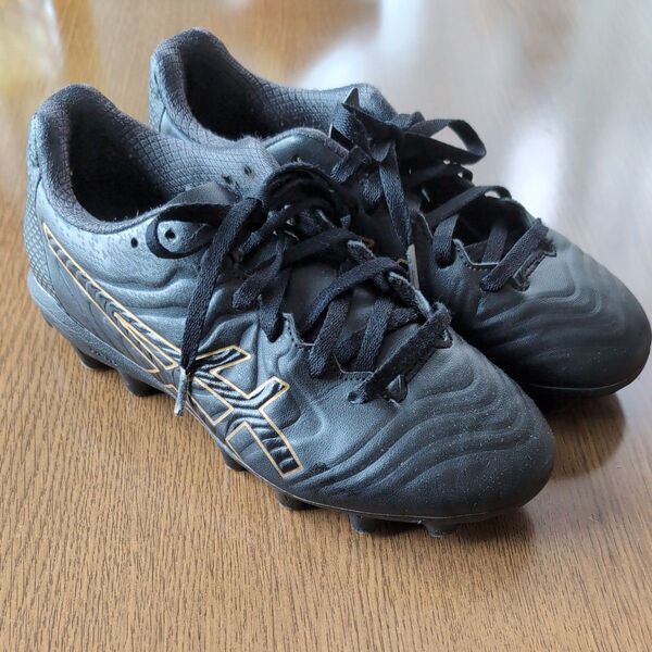 asics アシックス スパイク 21.5