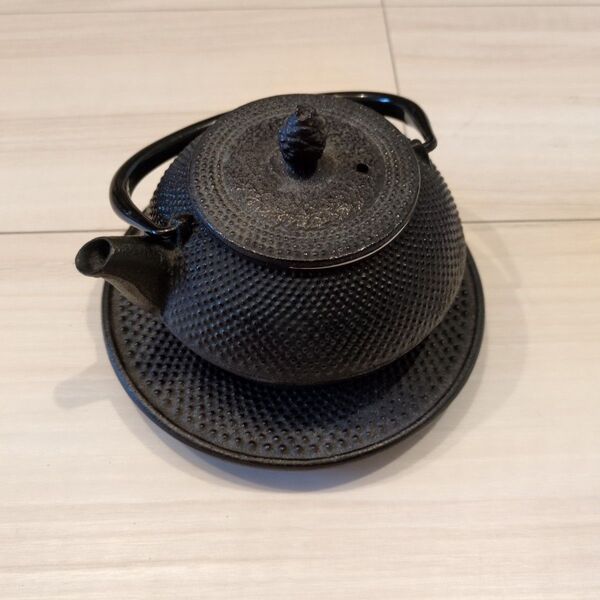 【即日発送】岩鋳 IWACHU 南部鉄器 急須 ステンレスフィルター付き