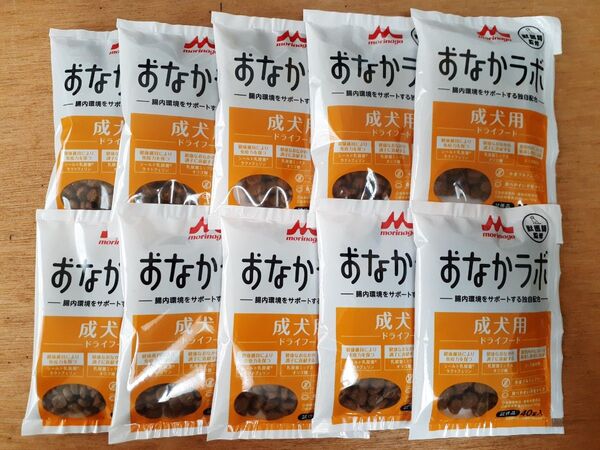 お値段値下げしました 成犬用ドライフード おなかラボ 40g 10袋