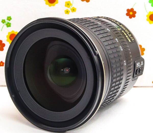 美品☆Nikon AF-S 12-24mm☆超広角レンズ☆コンパクト・高性能AF