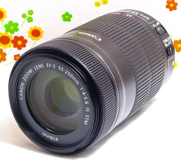 美品☆Canon EF-S 55-250mm IS STM☆超静音望遠レンズ
