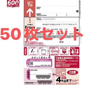 日本郵便 レターパックプラス 600円 未使用 新料金 現行柄 料額