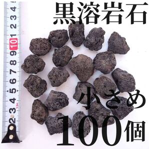 溶岩石 小さめ100個(テラリウム・コケリウム・アクアリウムにぴったり)