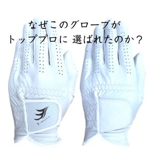 極ロゴ有 プロモデル ゴルフグローブ 左手着用 21~26cmから1枚をお選び下さい 天然皮革 ゴルフ 手袋 プロ 極薄 設定