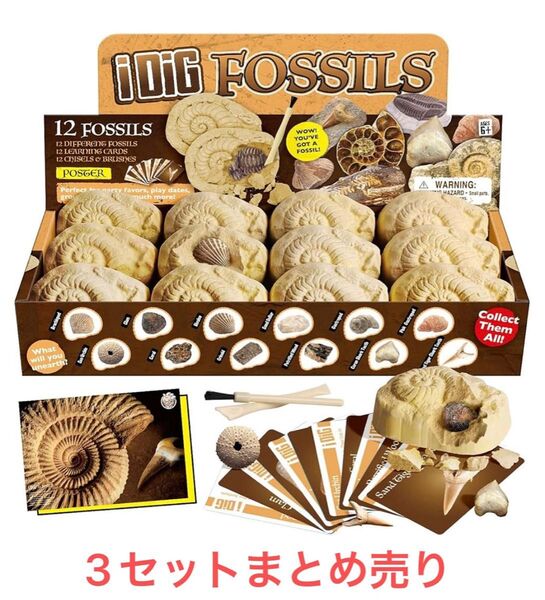 XXTOYS 化石発掘キット 化石標本 化石 発掘 キット 天然化石 発掘セット 3セットまとめ売り