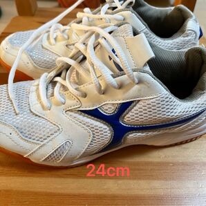 体育館シューズ 24cm