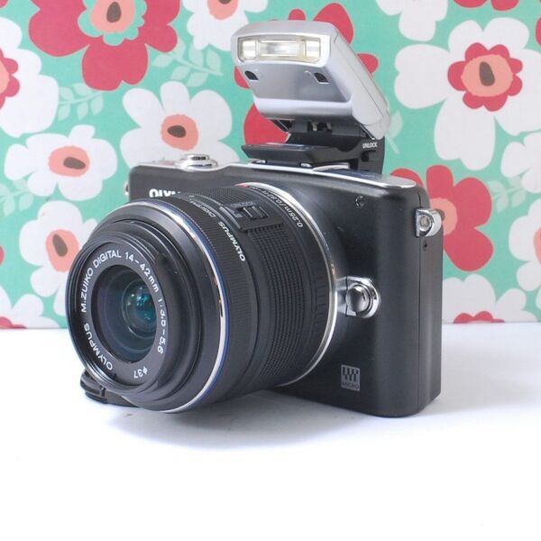 ★シンプルキュート★OLYMPUS E-PM1★スマホに転送お散歩カメラ★