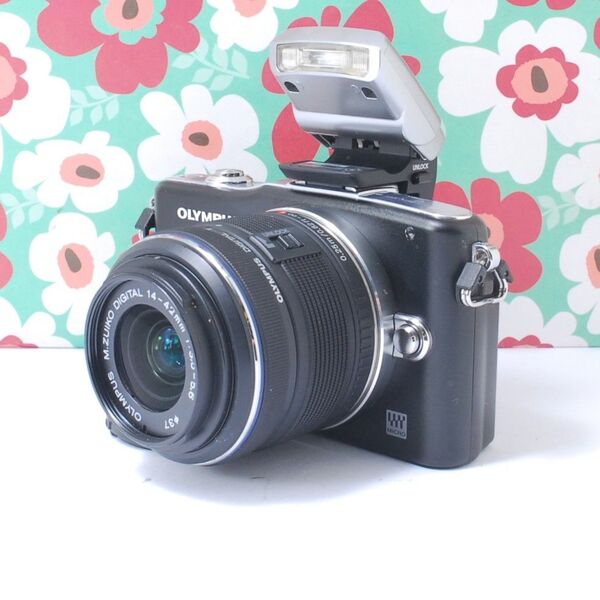 ★シンプルキュート★OLYMPUS E-PM1★スマホに転送お散歩カメラ★