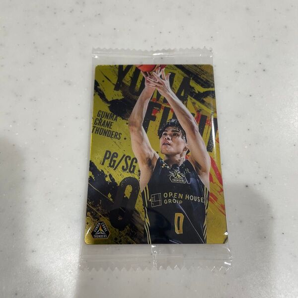 Bリーグ ウエハースカード