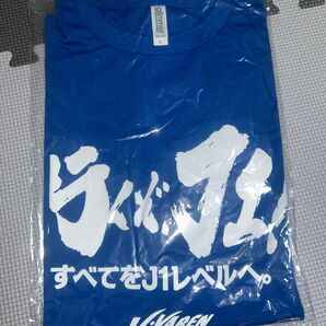 V・ファーレン長崎 公式グッズ Tシャツ Lサイズ ブルー 未使用