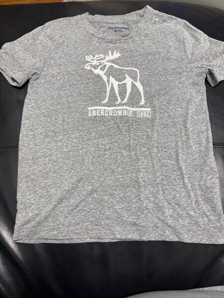 Abercrombie Kids Tシャツ グレー