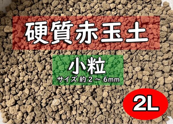 園芸用土 硬質赤玉土(小粒) 約2リットル