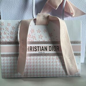 2025dior限定 ショッパー2枚セット