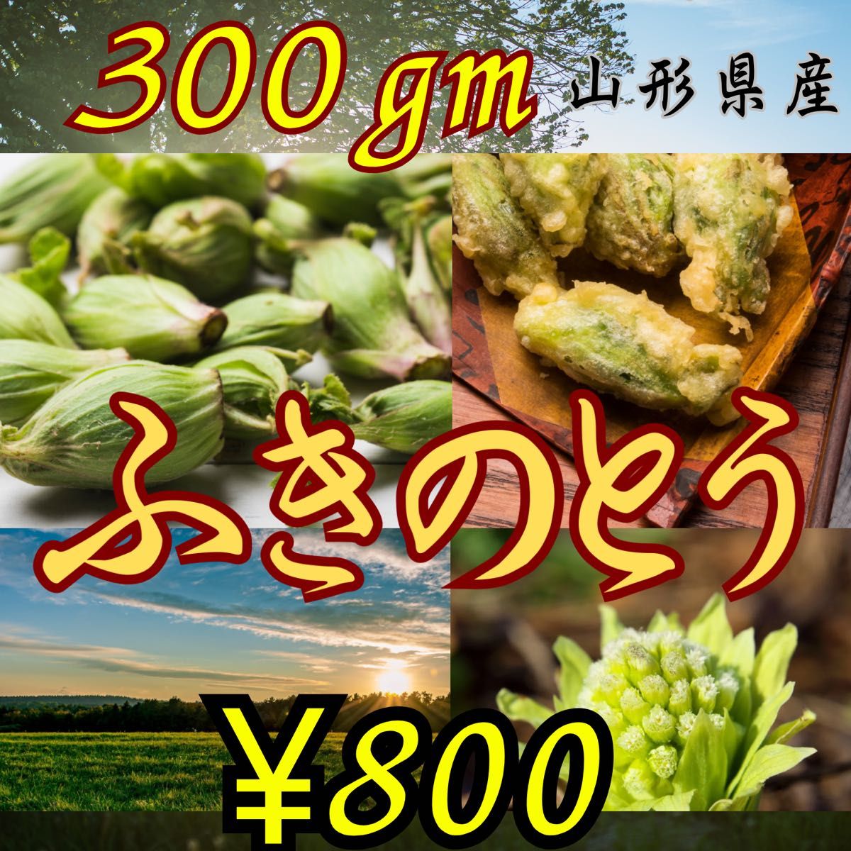 山形県産 ふきのとう 300g|Yahoo!フリマ(旧PayPayフリマ) 山形県産 ふきのとう 300g|Yahoo!フリマ(旧PayPayフリマ)