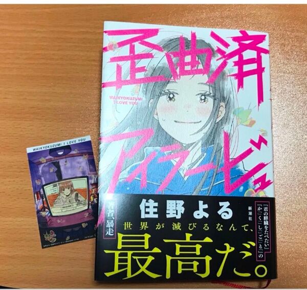 歪曲済アイラービュ