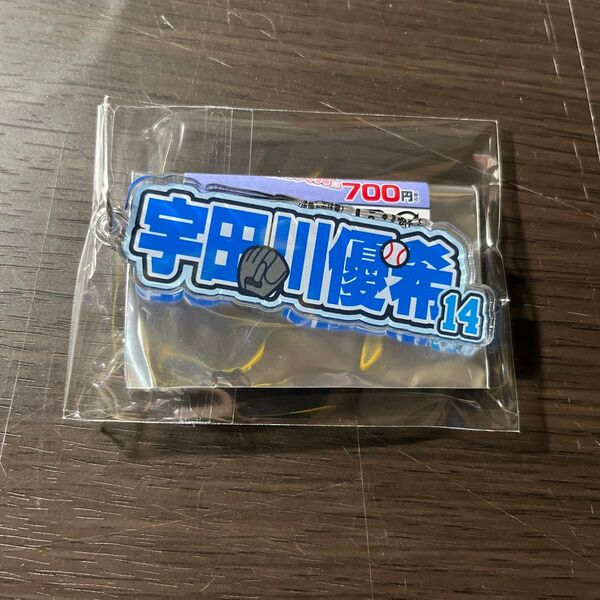 オリックス・バファローズ シークレットアクリルネームキーホルダー