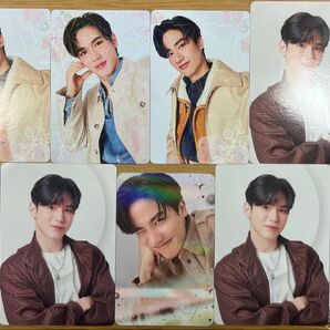 TayNew Card