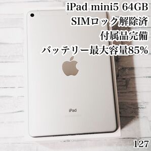 iPad mini5 64GB SIMフリー 付属品完備 管理番号:127
