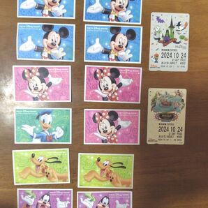 ディズニーチケット 使用済みチケット パークチケット 有効期限切れチケット