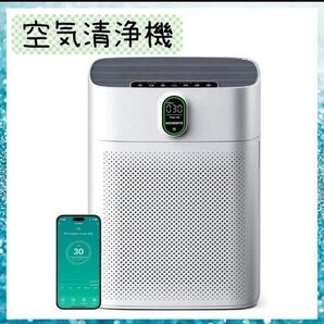 空気清浄機 黄砂リビング 脱臭 PM2.5自動検知 ほこり ペット臭 花粉 静音 ホコリ除去 タイマー機能