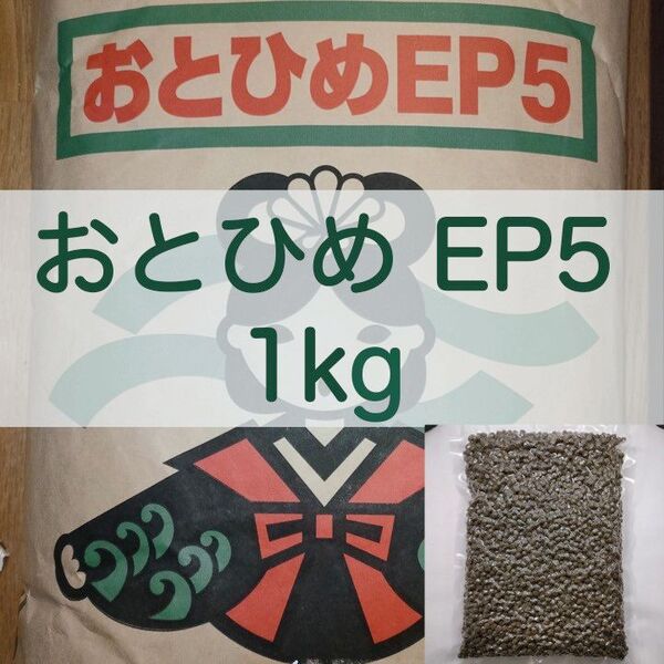 【送料無料】おとひめEP5 沈下性 1kg 真空パック エイ 金魚 エンドリ ダトニオ キャット