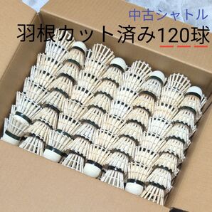値下★バッティング練習用 中古シャトル 羽根カット済120球!