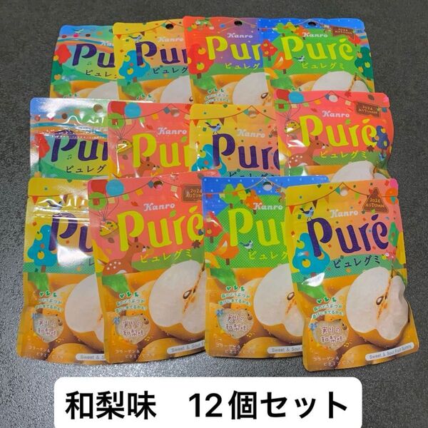 【ラスト1セット】カンロ ピュレグミ 実りの和梨味 12個セット 期間限定 レア グミ