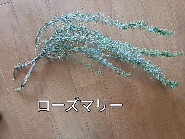 ドライフラワー、押し花 クラフトや、ハンドメイドに。