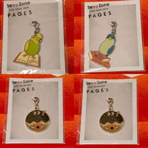 SexyZone 2019 PAGES 静岡 大阪 チャーム