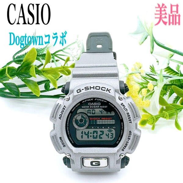 G-SHOCK Gショック CASIO カシオ ドッグタウン Dogtownコラボ DW-9000M 腕時計 シルバー系 デジタル