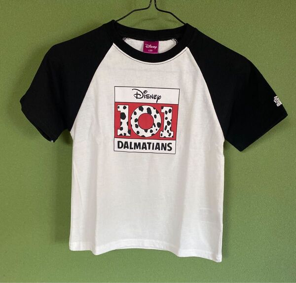 120 水通しのみ キッズ Tシャツ 101匹わんちゃん ダルメシアン ラグランTシャツ