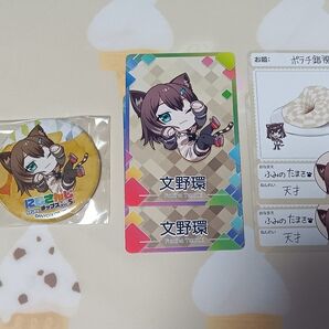 にじさんじチップス5 文野環