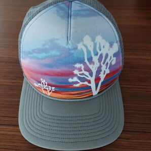 【廃盤:美品】SP14 Patagoniaインターステート・ハット トラッカーキャップ
