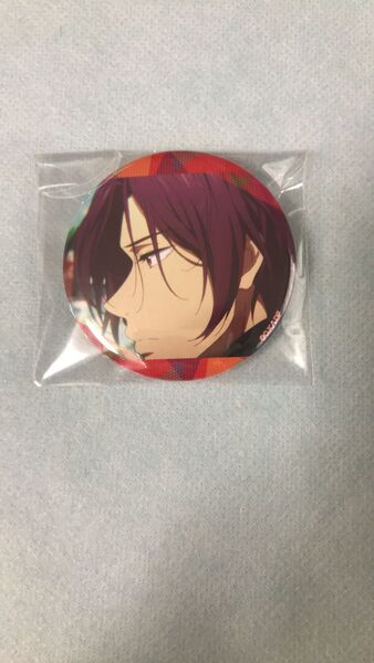 Free! DF Dive to the Future 缶バッジ 缶バッジコレクション opening 松岡凛