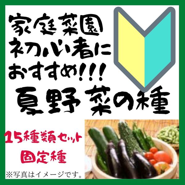 春からも種まきok 夏野菜の種 15種類セット 家庭菜園におすすめ 固定種【2024年】