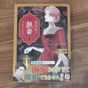 義家族に執着されています 1 (カラフルハピネス) HanYoonseo