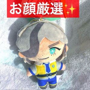 ポケモンセンターオリジナル マスコット POKEMON TRAINERS ペパー 新品未使用タグ付き スカーレット バイオレット