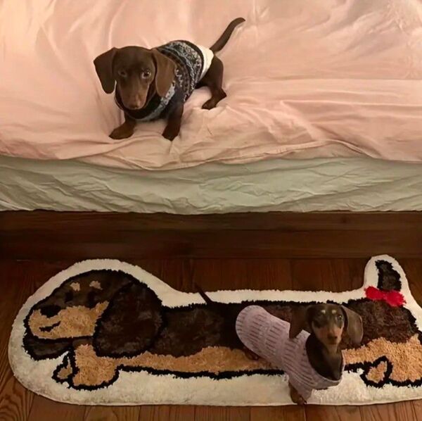 ダックス ミニチュアダックス マット インテリア 犬雑貨 犬用品 プレゼント