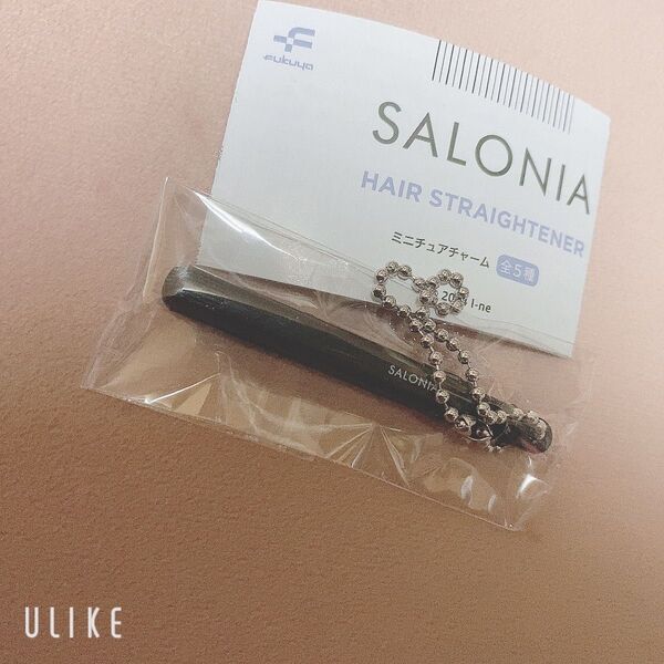 SALONIA サロニア ミニチュアチャーム ブラック