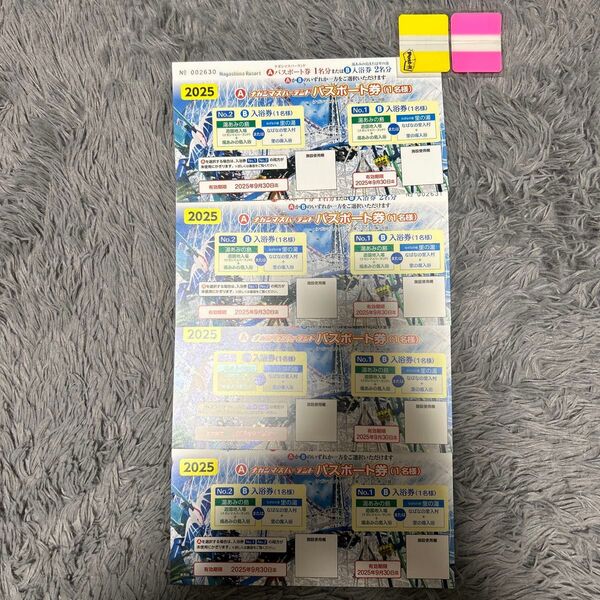 ナガシマスパーランド パスポート券 4枚セット