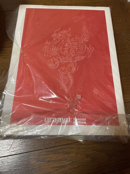 uraayu Special edition 未開封 浜崎あゆみ あゆ 写真集