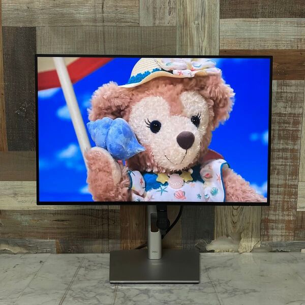 即日発送全国送料込 2年前購入 DELL24型ワイド液晶モニターブルーライト軽減Dell モニター ディスプレイ 2022年製