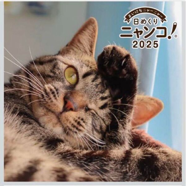 日めくり ニャンコ 2025年 卓上 カレンダー 台座付き ネコ ねこ 猫 カレンダー